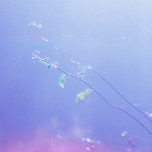 高跟鞋妓女69XXXHD
