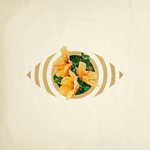 高跟鞋妓女69XXXHD
