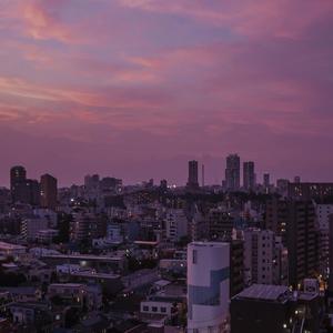 高跟鞋妓女69XXXHD
