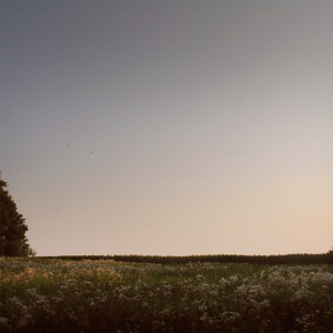 高跟鞋妓女69XXXHD
